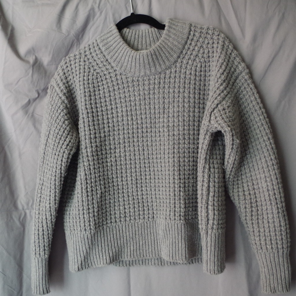 Everlane Oversized Soft Cotton Crew Sweater